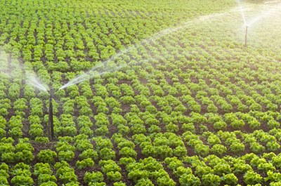 Fertilisation à l’ammoniac